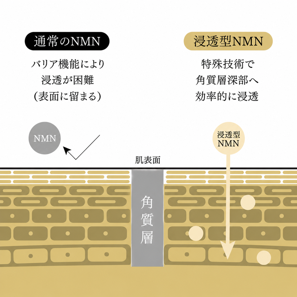 インフュージングローション No.3（120ml）
