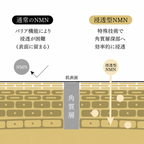 インフュージングローション No.3（120ml）