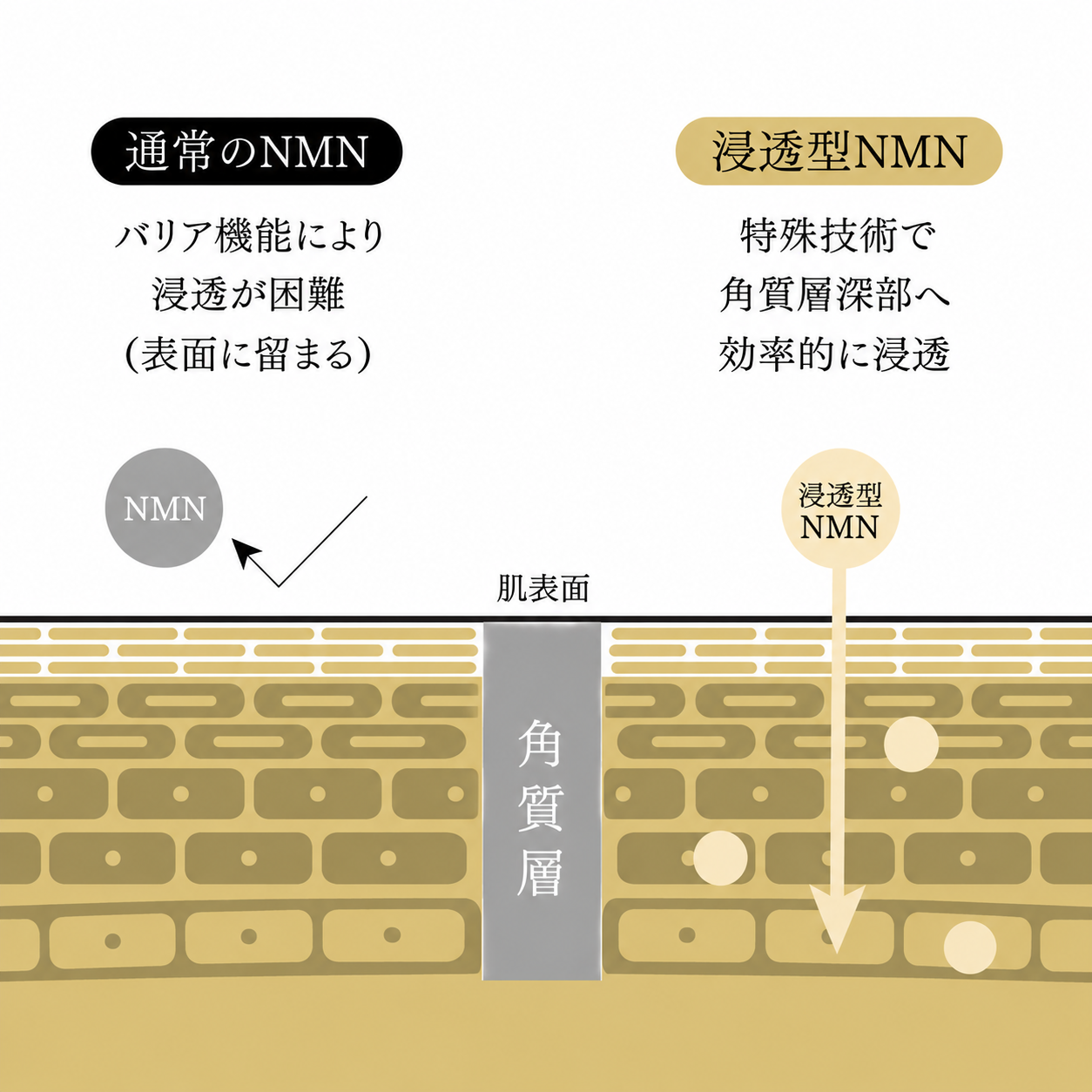 【スターターセット】インフュージングローション（40ml×3）